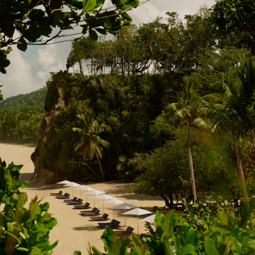 Amanera resort beach club with sun loungers lining a sandy shore beside lush tropical vegetation and turquoise waters in the Dominican Republic.