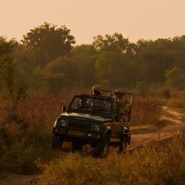 Aman-i-Khas, India - Experience, Safari