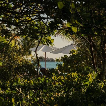 安缦璞乐度假村的私密别墅，透过树叶框景可见平静海景。