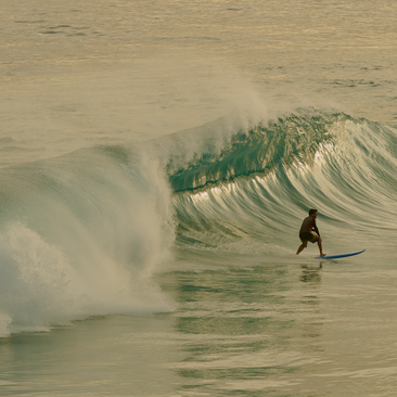 Surfer riding a wave at Amanera resort, Dominican Republic.