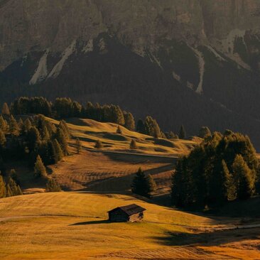 Sunlit alpine meadow with solitary cabin nestled beneath forested mountain peaks at Aman Rosa Alpina, Dolomites.