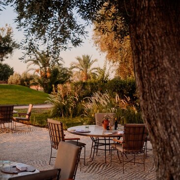 Breakfast laid out on a wooden table beneath an olive tree on the terrace at Amanjena, Morocco, with gardens beyond.