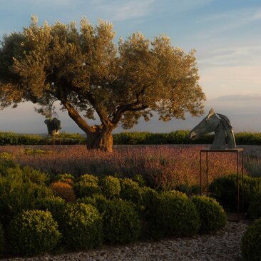 Amanzoe, Greece - Art Exhibit - Alexandra Athanasiades