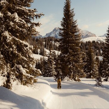 Skier traversing snow-covered landscape amongst pine trees at Aman Rosa Alpina, Italy.