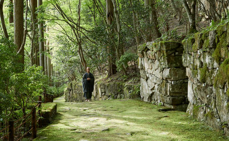 安缦京都度假村隐秘花园中，石灯笼矗立于林间小径两侧，苔藓覆盖地面，光影斑驳。