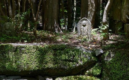 安缦京都度假村隐秘花园中的石灯笼，周围环绕着苔藓覆盖的树木。