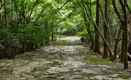 安缦京都度假村的秘密花园，树木成荫的小径蜿蜒穿过绿意盎然的景观。