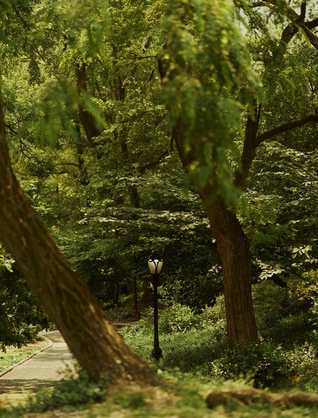 Une lampe vintage sous les arbres feuillus au jardin d'Aman New York.