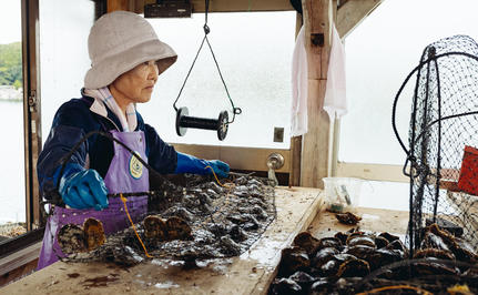 Artisan at Amanemu sorting freshly harvested seaweed in a traditional workspace.
