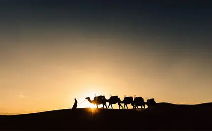 Family on horseback silhouetted against sunset at Amanjena, Morocco.