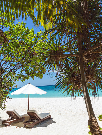 安缦璞乐度假村的白色沙滩，棕榈树和木制躺椅俯瞰清澈蓝海。