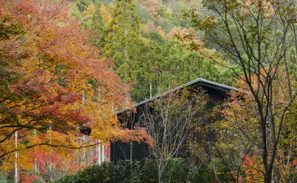 Aman Kyoto resort exterior garden with traditional architecture framed by autumn foliage.
