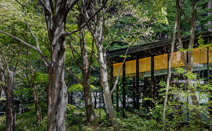 Modern pavilion nestled amongst tall trees at Aman Tokyo's spring café.
