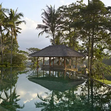 Resort swimming pool at Amandari, Indonesia, surrounded by tropical trees and lush vegetation.