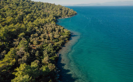Aerial view of Amanruya's forested coastline meeting turquoise waters.