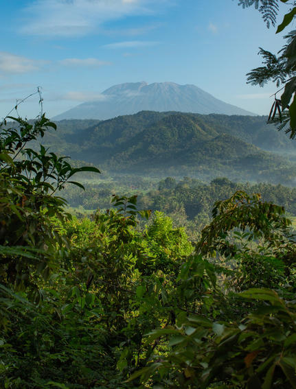 Verdant landscape with mountain vista at Amankila, Bali.