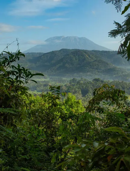 アマンキラ・リゾートから見たバリ山脈の景観、緑の森に囲まれた山々。