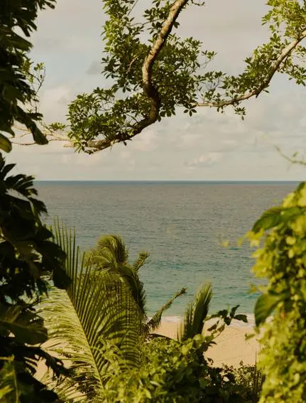 Tropical vegetation frames a serene coastal vista at Amanera resort.