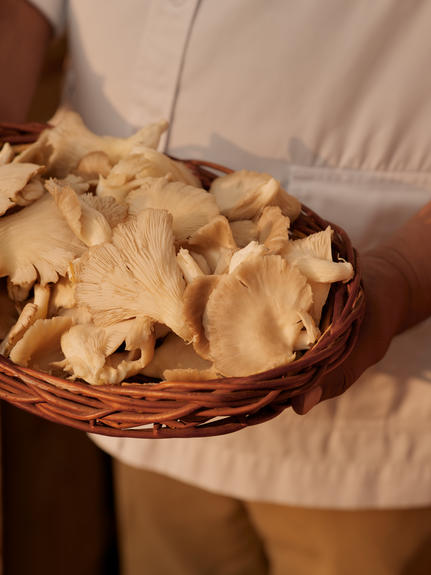 Warm bread rolls in a woven basket at Aman-i-Khas dining venue, India.