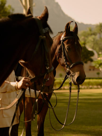 Jockey mounted on a dark horse at Amanbagh, framed against golden afternoon light.