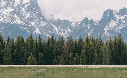 Amangani's exterior set against the Teton Mountains, with forested foothills and open meadow.