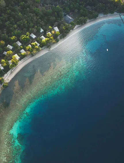 Aerial view of Amanwana's sandy beach curving along turquoise waters, with thatched bungalows nestled among tropical vegetation.