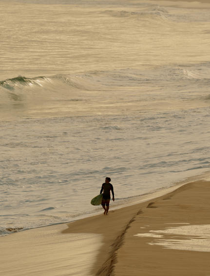 Surfer solitaire marchant vers l'océan à Amanera, resort en bord de plage.