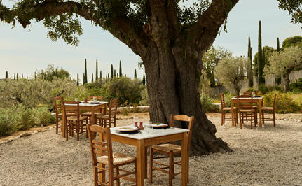 Dining tables and chairs arranged beneath a sprawling olive tree at Amanzoe, with cypress trees visible in the Mediterranean landscape beyond.