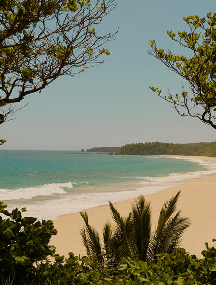 Plage de sable blanc et eaux turquoise vues entre la végétation tropicale à Amanera, resort en République dominicaine.