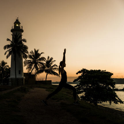 Silhouetted palm trees and tropical vegetation at sunset along the water at Amangalla, Sri Lanka.