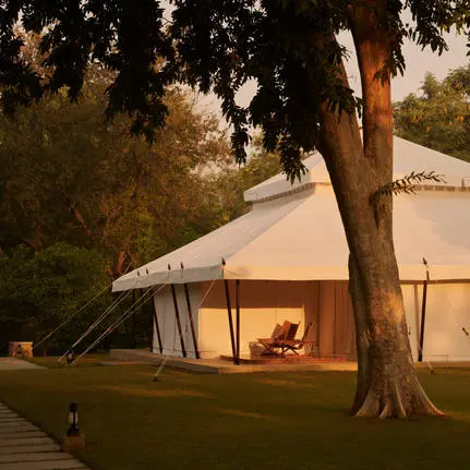 Spa exterior at Aman-i-Khas at dusk, with illuminated canvas pavilion beneath a large tree.