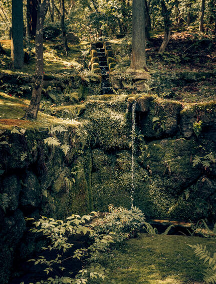 Sunlit woodland garden with moss-covered stones and a small stream at Aman Kyoto.