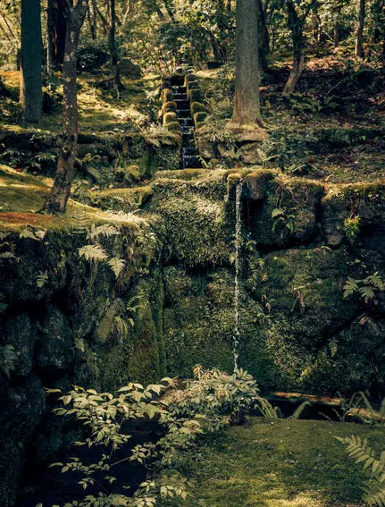 Tranquil woodland stream at Aman Kyoto resort, dappled sunlight filtering through dense forest canopy.