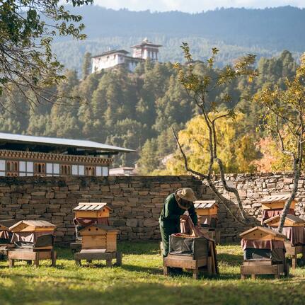 Elephant in manicured gardens at Amankora Bumthang, with traditional architecture and forested mountains beyond.