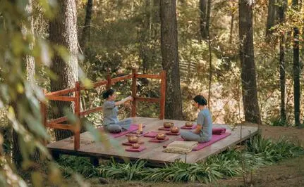 Meditation platform surrounded by forest trees at Amankora, Thimphu.