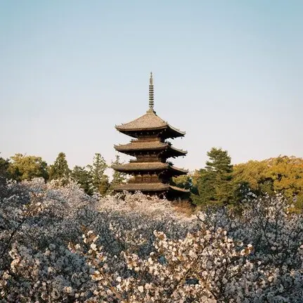 Aman Kyoto, Japan - Sakura Season