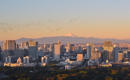 Vista de Tokio y el Monte Fuji al atardecer desde Aman Tokyo.