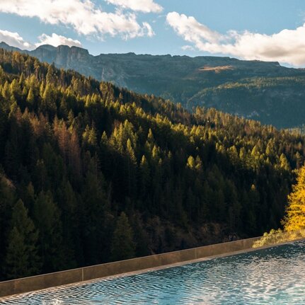 Outdoor pool at Aman Rosa Alpina resort overlooking forested Italian Alps valley.