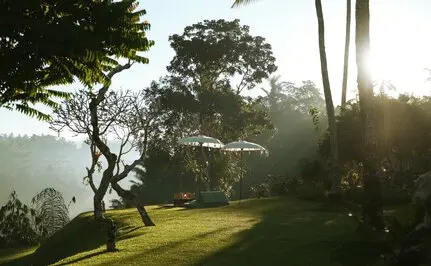 Amandari, Ubud, Bali, Indonesia - Ubud Valley Trails