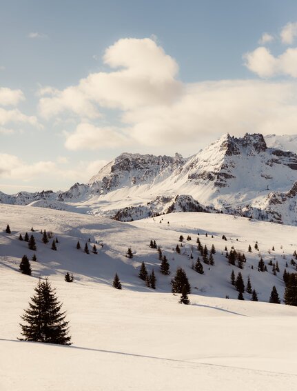 Skiers and snowboarders on snow-covered slopes at Aman Rosa Alpina resort, with snow-capped mountains in the distance.