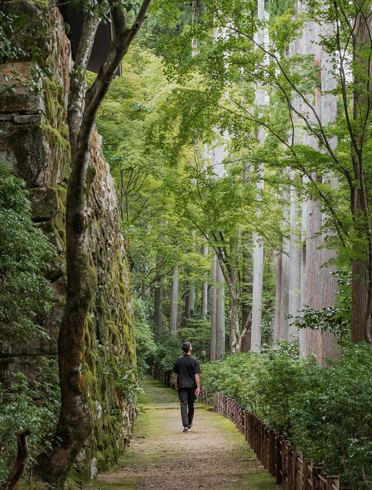 Aman Kyoto, Japan - Forest Walk