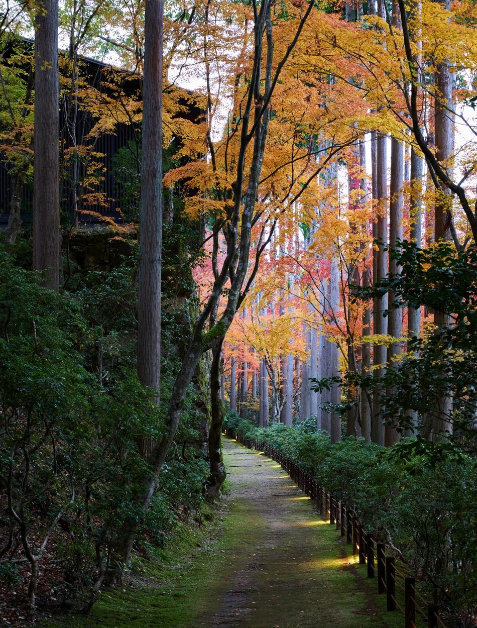 Aman Kyoto Experience Secret Garden