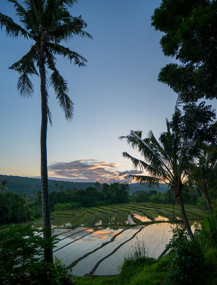 Amankila, Indonesia - Rice Fields, Sunset