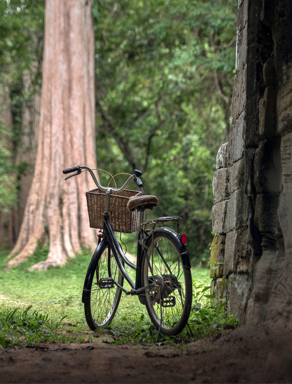 Amansara, Cambodia - Forest, Bike