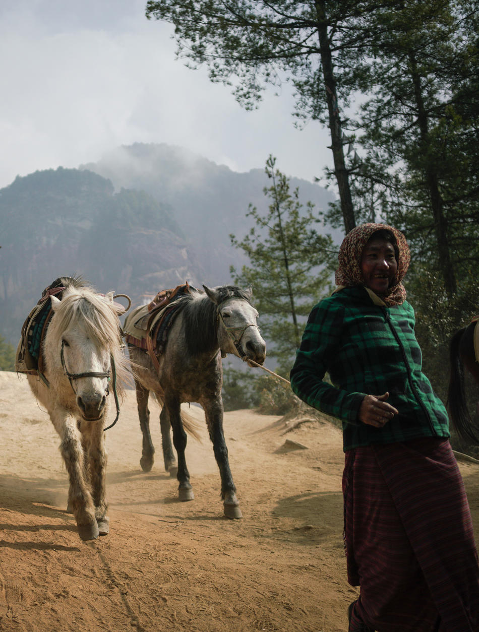 Amankora, Bhutan - Farmer, Horses