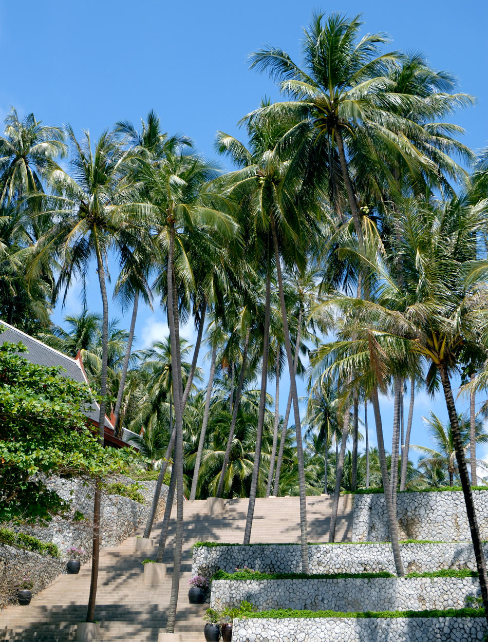 Amanpuri Beach path 