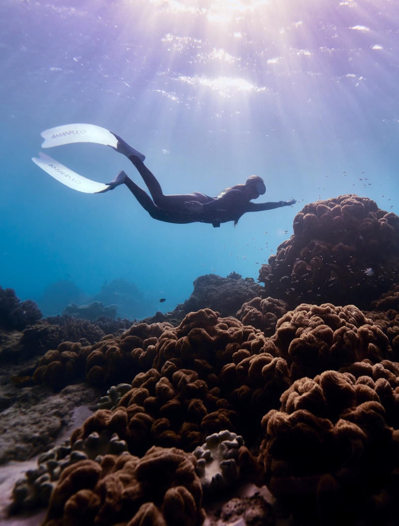 Amanpulo, Philippines - Resort Diving
