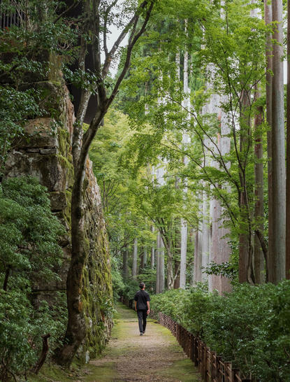 A guest walks along a tree-lined garden path at Aman Kyoto, filtered sunlight illuminating the verdant foliage overhead.