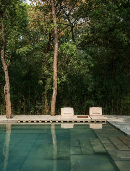 Infinity pool with wooden loungers beside tall trees at Aman-i-Khas.