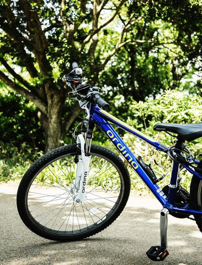 Blue bicycle parked on a tree-lined path at Amanemu.